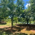 WhatsApp Image 2026-01-12 at 20.28.52